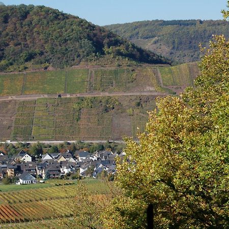 Ferienhaus Mosel Bub Bruttig-Fankel Luaran gambar