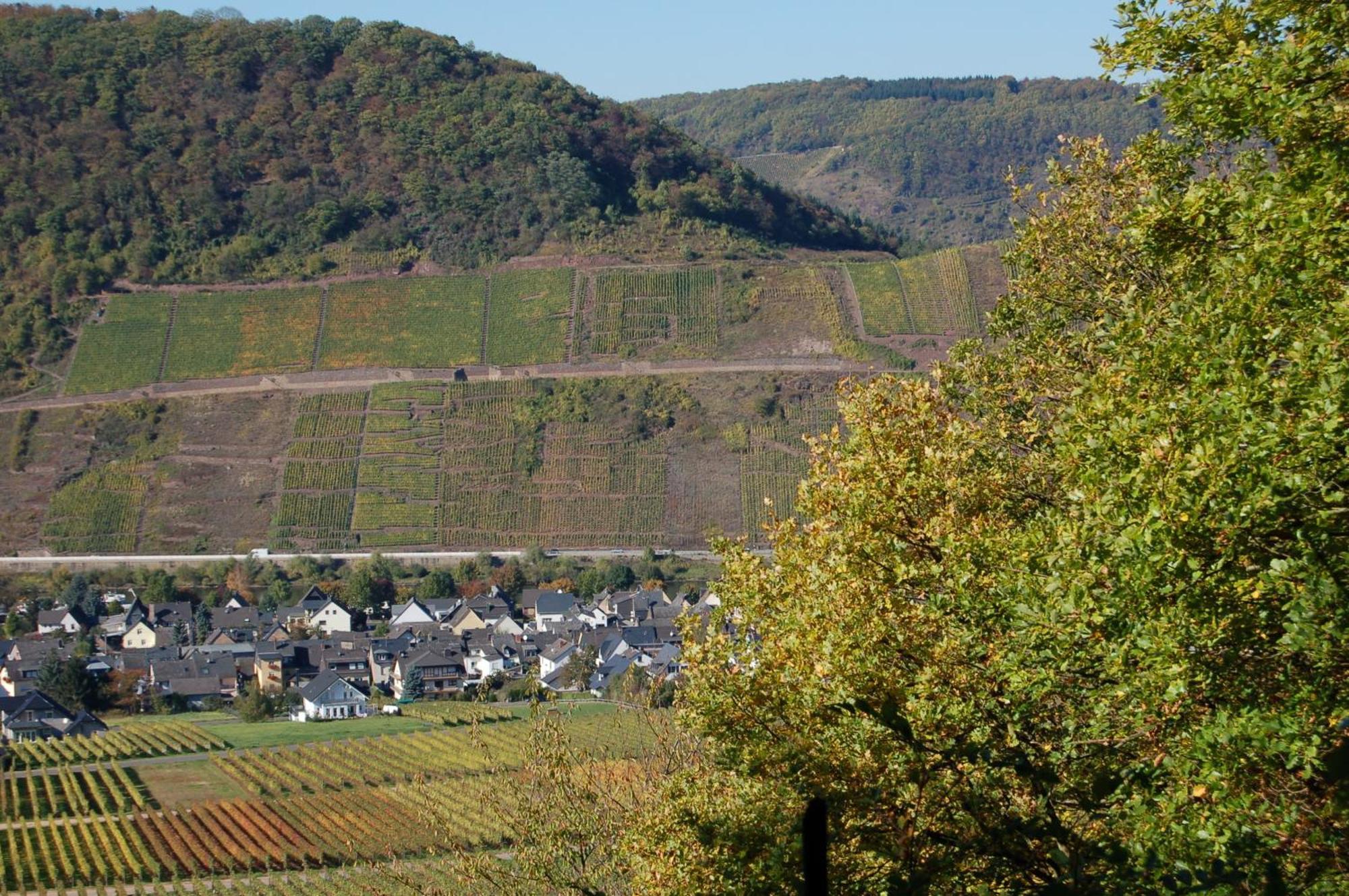 Ferienhaus Mosel Bub Bruttig-Fankel Luaran gambar