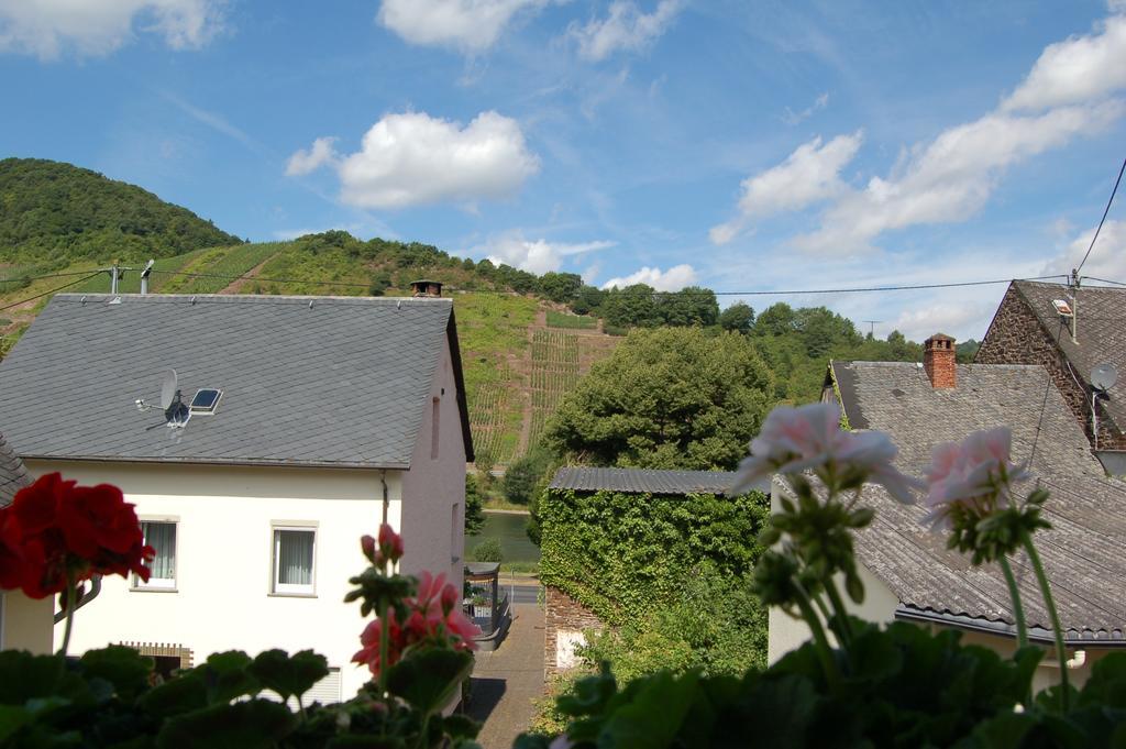Ferienhaus Mosel Bub Bruttig-Fankel Bilik gambar